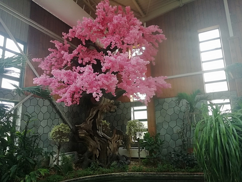 南宫地热博览园